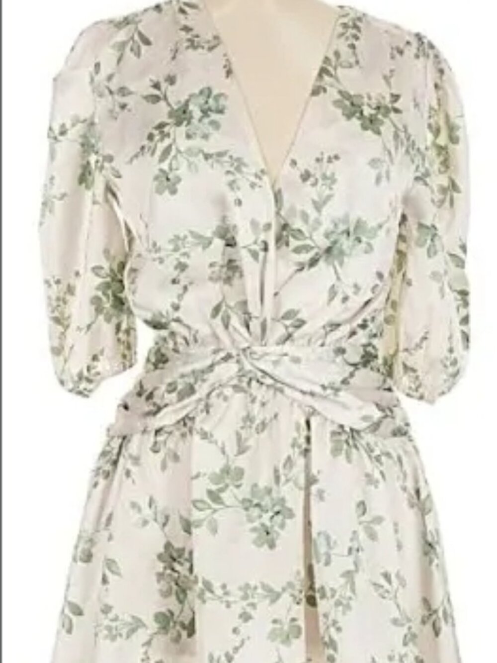 NWT Misa ivory and green dress (size x-small)
